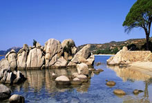 熊猫体育:C罗:我们只是输了上半场 而我从未在上半场输掉过比赛.